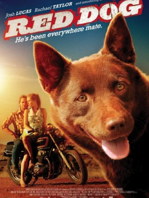 Рудий пес