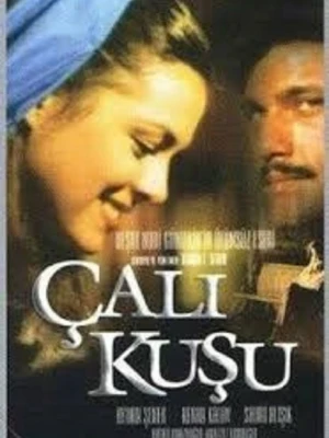 Корольок-пташка співоча
