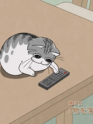 Ночі з котом